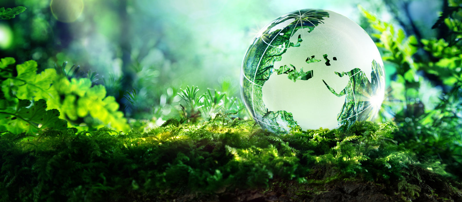 Environmental Recruitment Agency in London